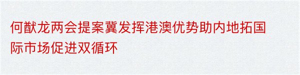 何猷龙两会提案冀发挥港澳优势助内地拓国际市场促进双循环